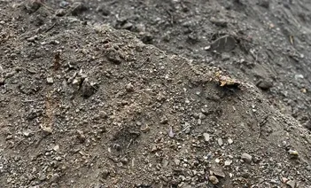 Bodenaushub unbelastet, unbeprobt